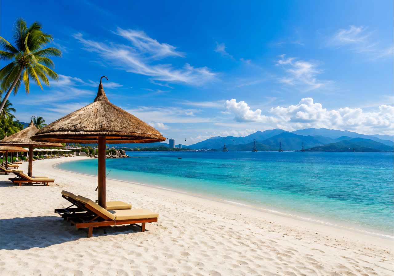 My Khe Beach tropical coastline with green palm trees and luxury coastal apartments skyline in Da Nang expat area